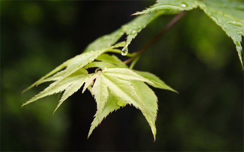 表演艺考培训机构排行榜前十，艺术年度十佳最具影响力新锐艺术教育机构推选